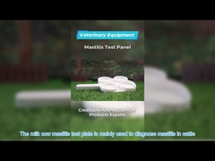 PE 플라스틱 테스트 노