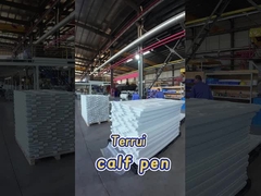 휴대용 폴리에틸렌 송아지 펜 사이드 패널 단열 및 기상 저항 유제품 송아지 턱