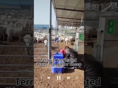 열 보존 가축 물 탱크 안정적인 물 공급 200kg 용량