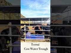 가축 자동차 물 뿌리는 장치