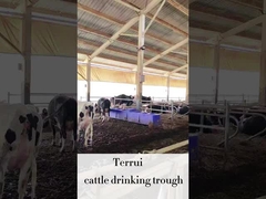 LLDPE 가축 자동 물기 소용 220V300W 난방 디스크 3 세트