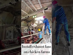 변속 속도 120cm REFINE 배기가스 팬 56.4m3/h 공기 부피 48000m3/h 공기 흐름 용량