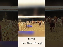 가축용 자동 물기 250mm 음료 높이 LLDPE 흐름 속도