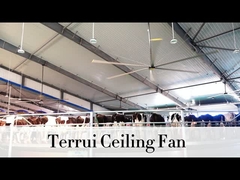 9.53m3/min 공기 흐름 산업 천장 팬 14300m3/min 최대 출력