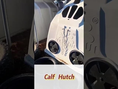 고립 된 백색 직사각형 폴리에틸렌 유제품 송아지