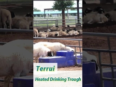 부식 저항성 85L 파란색 플라스틱 가축용 물 탱크