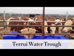 85L 파란색 중량 물탱크 3/4 배열 된 튜브