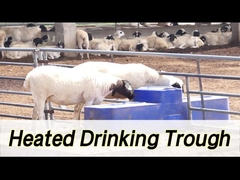 260L 용량과 190mm 음용 높이의 높은 용량 소 물기