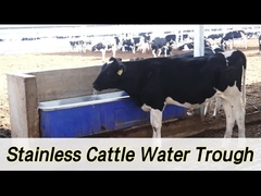 2 세트 1800W 조절 할 수 있는 난방 가축 자동 수분 100-120L/min의 흐름 속도