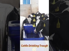 120L/min 흐름 속도 저항성 폴리 에틸렌 소용 물 용기