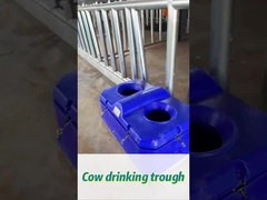 450mm의 음용 높이에서 쉽게 물을 마실 수 있는 높은 흐름률 소 물기