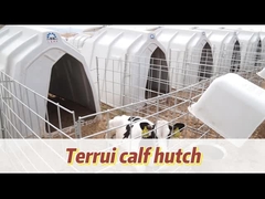 송아지 를 위한 환기 된 송아지 집