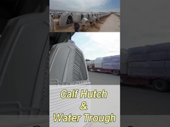 220*145*145cm 직사각형 우유 송아지 칸막이 건강 및 복지를 향상시키기 위해