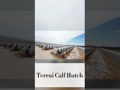 220*145*145cm 백색 젖소 소아집