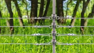 가축 보호: 전기 울타리에 T-포스트 절연체를 설치하는 방법