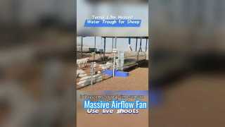 극한의 추위를 견딜 수 있는 튼튼한 플라스틱 케이스로 제작된 1.7m 가열식 가축 물통